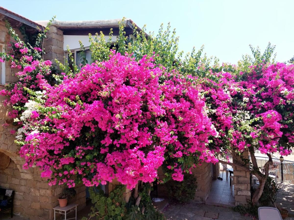 טוקהיני Cyprus Villages Hotel & Restaurant - Central Location - Bed & Breakfast - With Access To Pool And Stunning Views מראה חיצוני תמונה