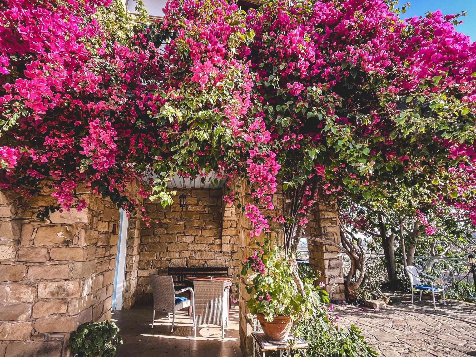 טוקהיני Cyprus Villages Hotel & Restaurant - Central Location - Bed & Breakfast - With Access To Pool And Stunning Views מראה חיצוני תמונה