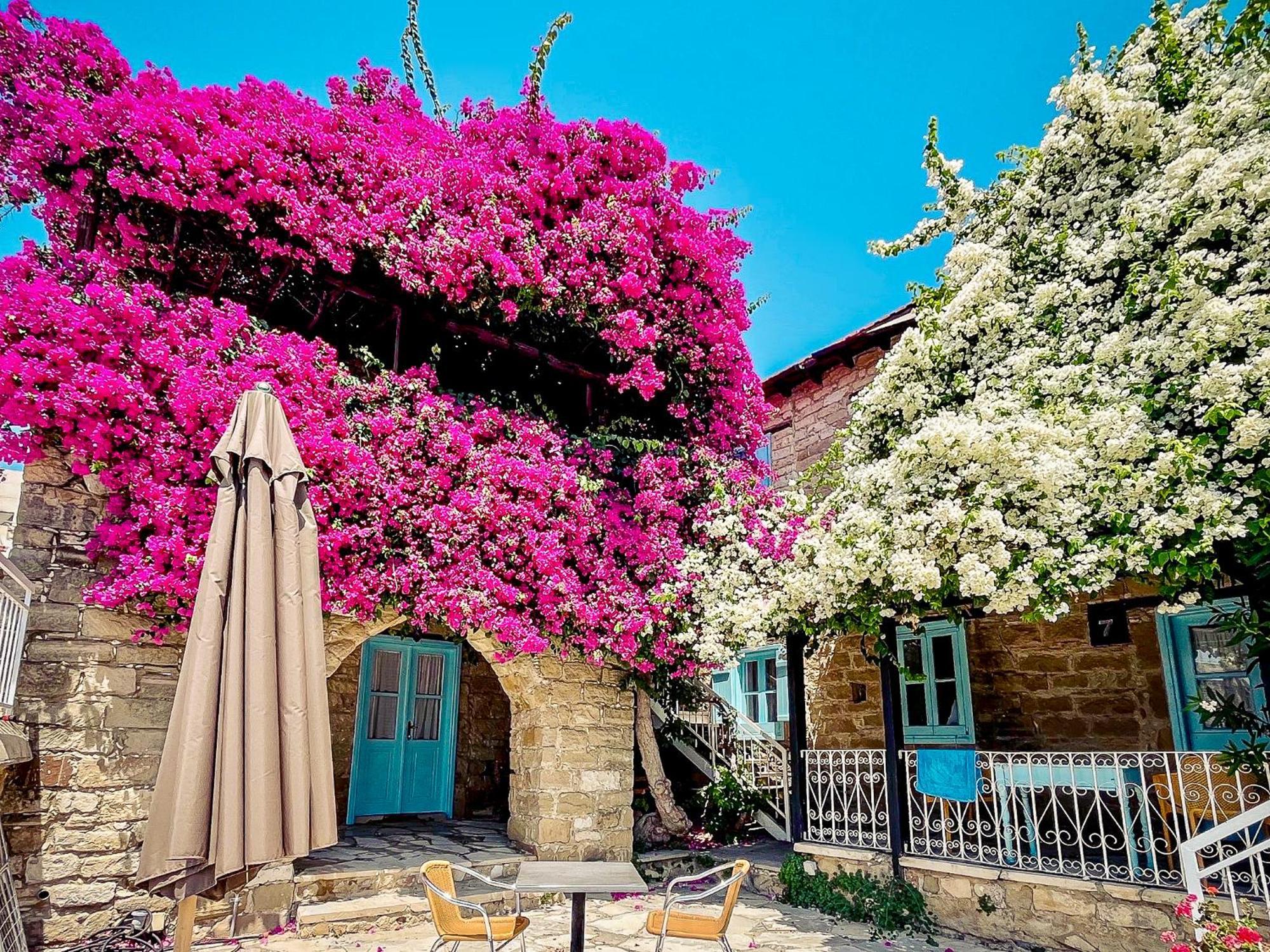 טוקהיני Cyprus Villages Hotel & Restaurant - Central Location - Bed & Breakfast - With Access To Pool And Stunning Views מראה חיצוני תמונה