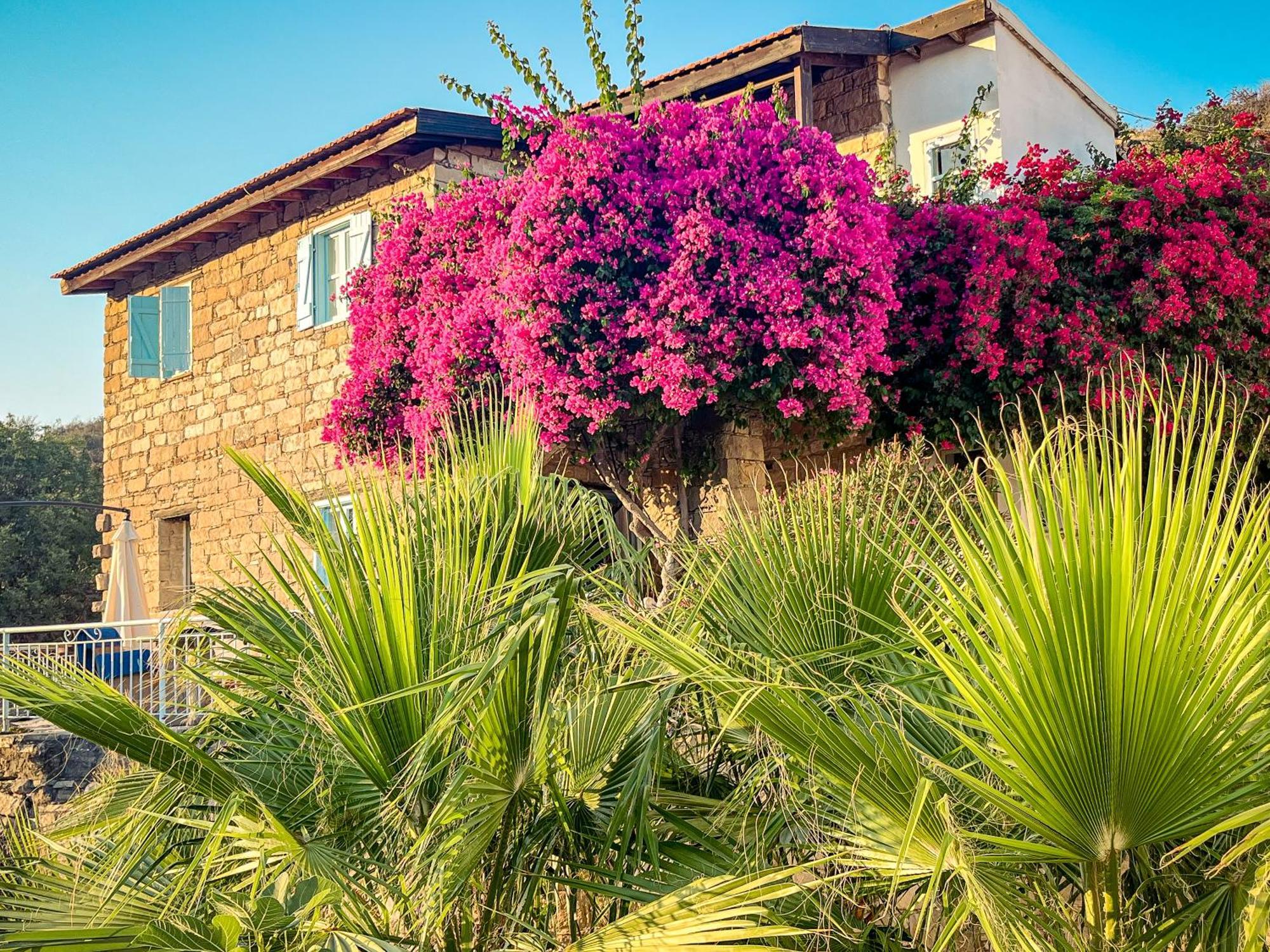 טוקהיני Cyprus Villages Hotel & Restaurant - Central Location - Bed & Breakfast - With Access To Pool And Stunning Views מראה חיצוני תמונה